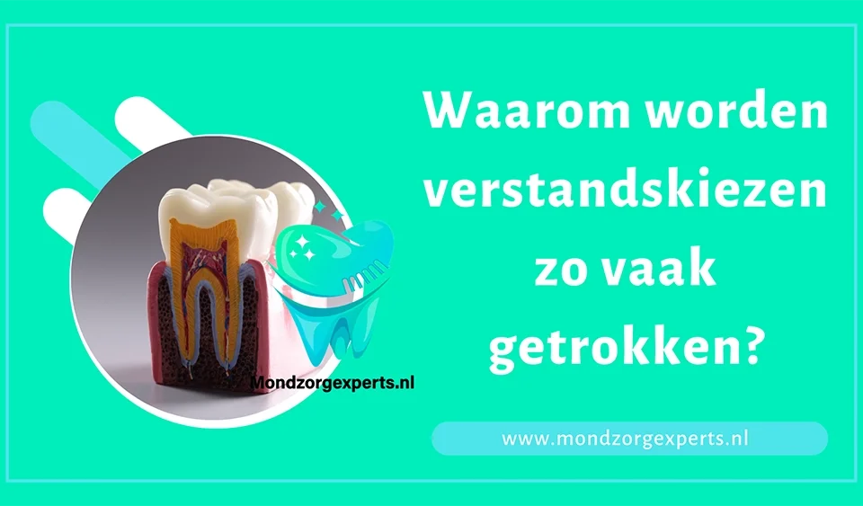 Waarom worden verstandskiezen zo vaak getrokken?