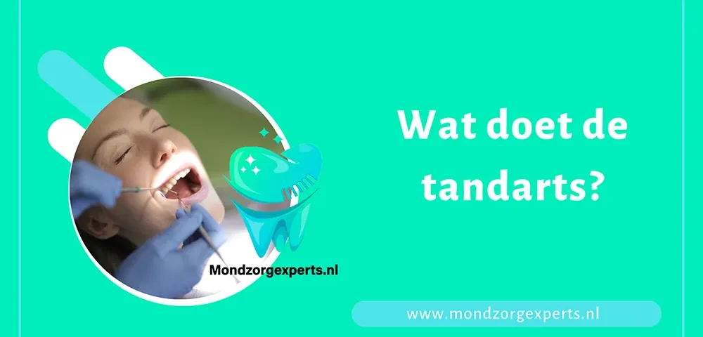 Wat doet de tandarts in Zoetermeer