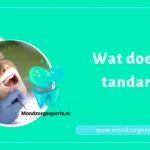 Wat doet de tandarts in Zoetermeer