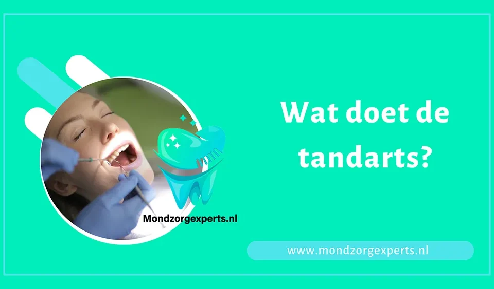 Wat doet de tandarts in Zoetermeer